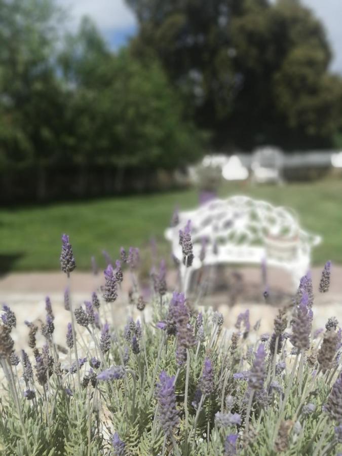 Casona Del Duende ξενώνας Alájar Εξωτερικό φωτογραφία