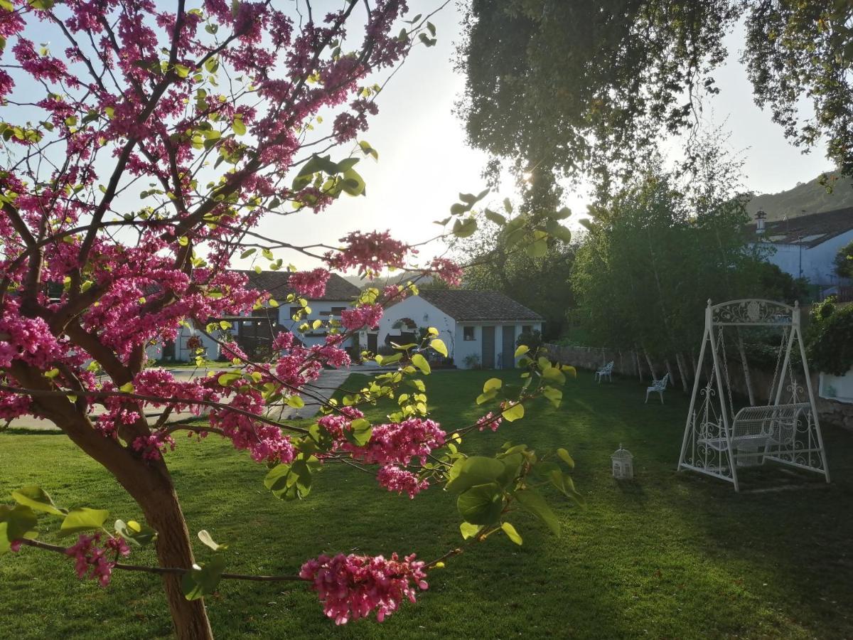 Casona Del Duende ξενώνας Alájar Εξωτερικό φωτογραφία