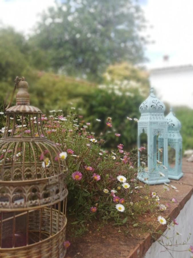 Casona Del Duende ξενώνας Alájar Εξωτερικό φωτογραφία