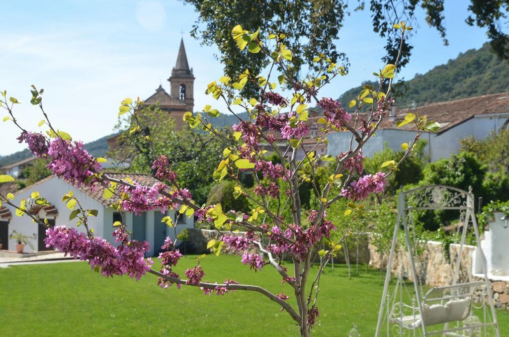 Casona Del Duende ξενώνας Alájar Εξωτερικό φωτογραφία